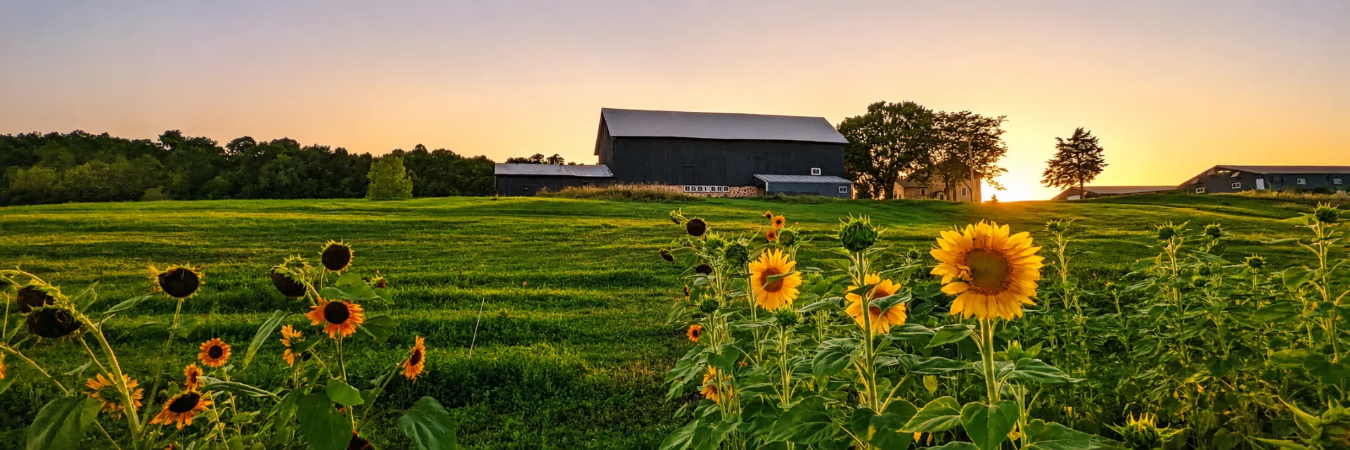 Pine Hill Farm